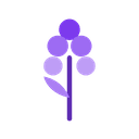 Larkspur S/4 Advisory